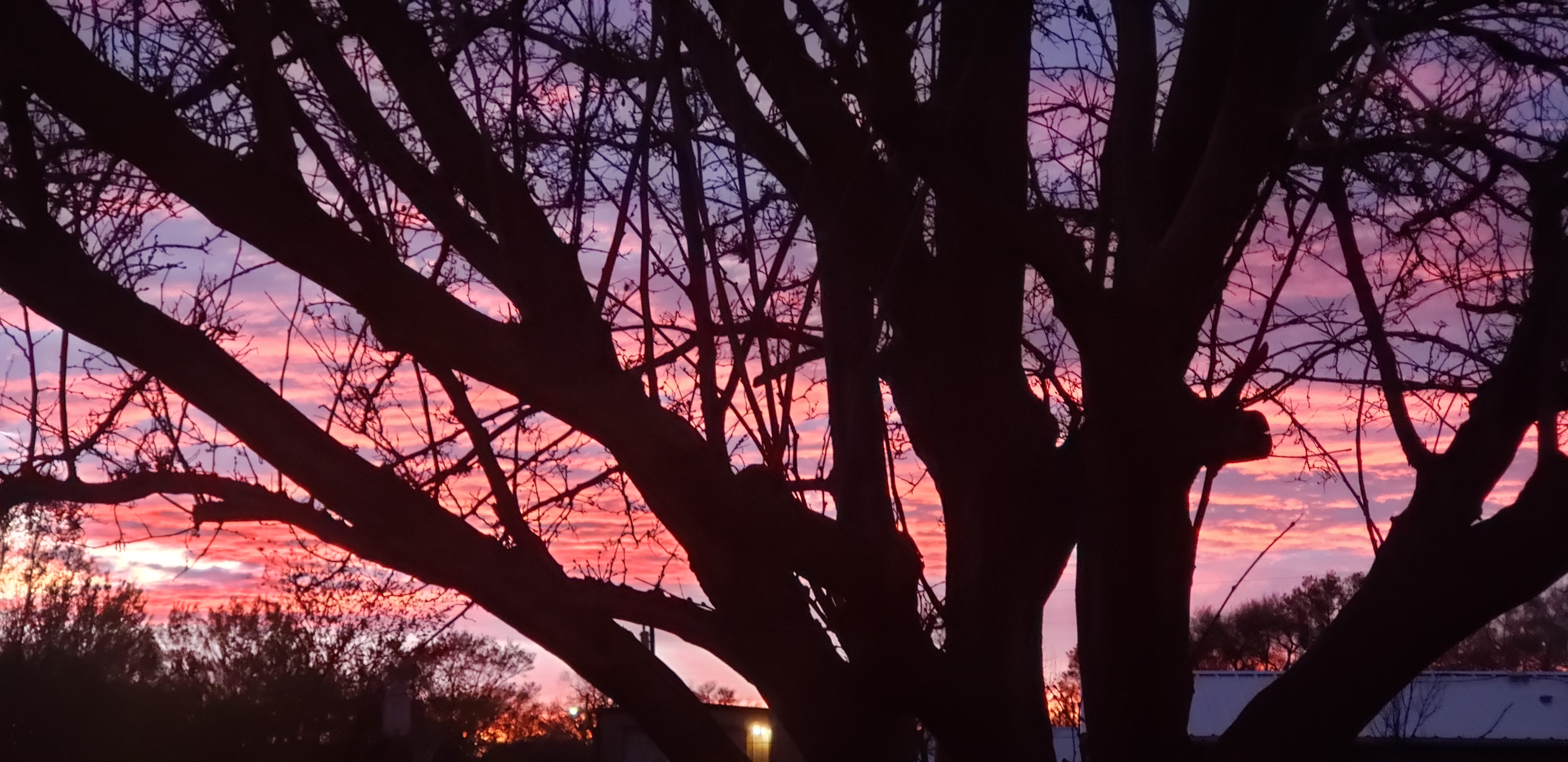 <span class='s5_boldfont'>Our</span> Diverse Landscape