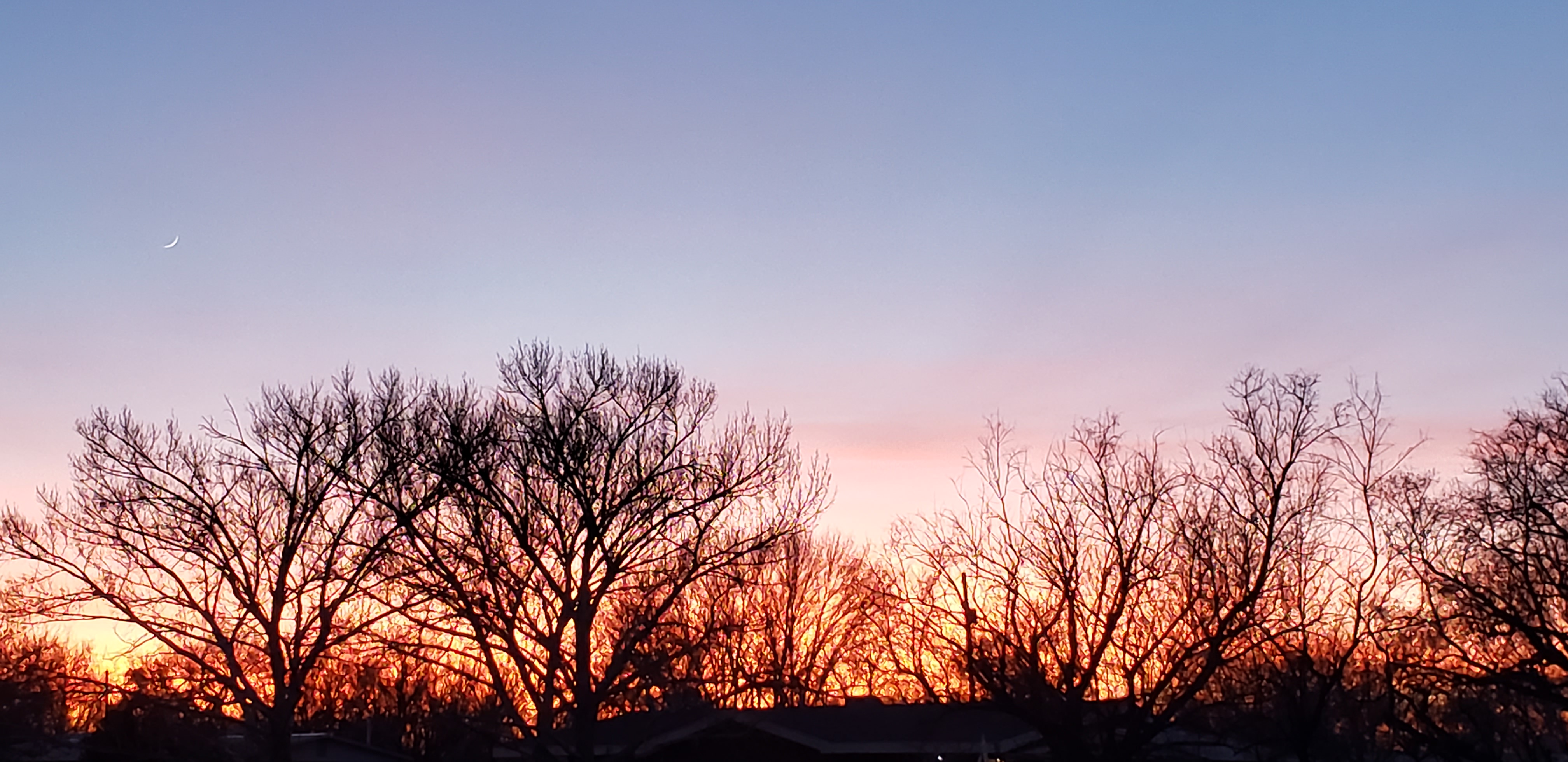 <span class='s5_boldfont' style='color:black'>Preserving the Past</span> <span style='color:black'> for Future Generations</span>